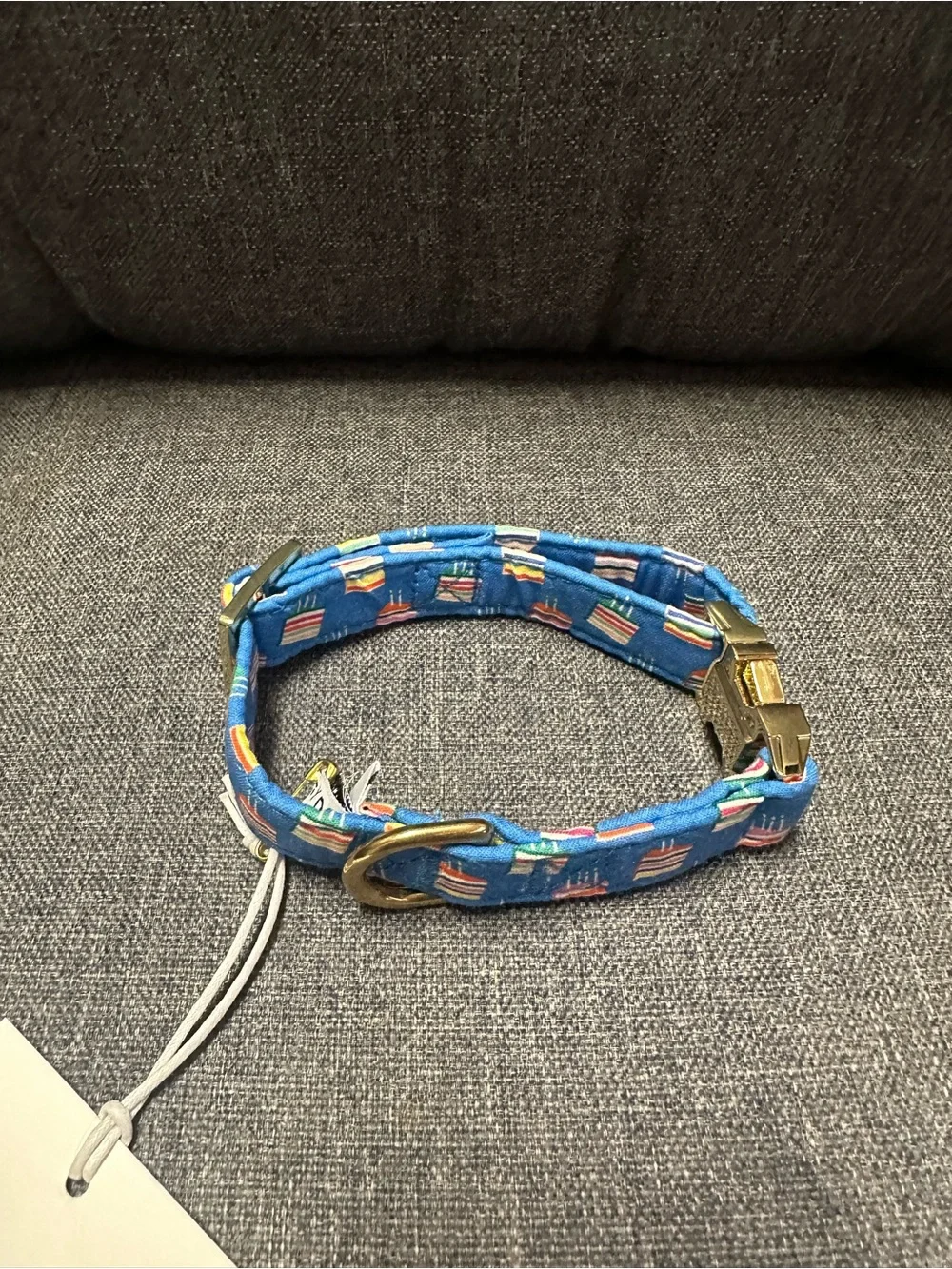 The Foggy Dog Make A Wish Birthday Dog Collar